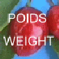 Poids maxi - Maxi weight