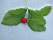 00-capron_fruit_et_feuille.JPG