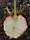 07-fruit_coupe.JPG