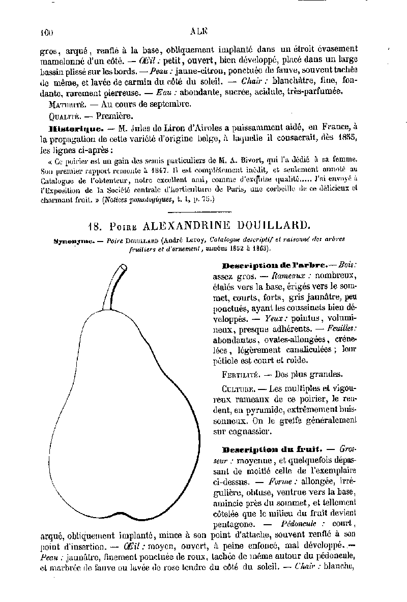 ANDRE LEROY Dictionnaire de Pomologie 1867 Poires Tome 2