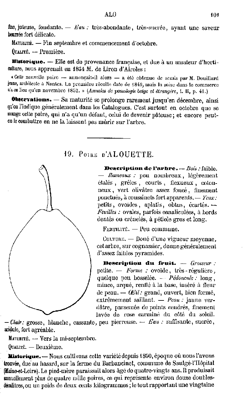 ANDRE LEROY Dictionnaire de Pomologie 1867 Poires Tome 2 (suite)