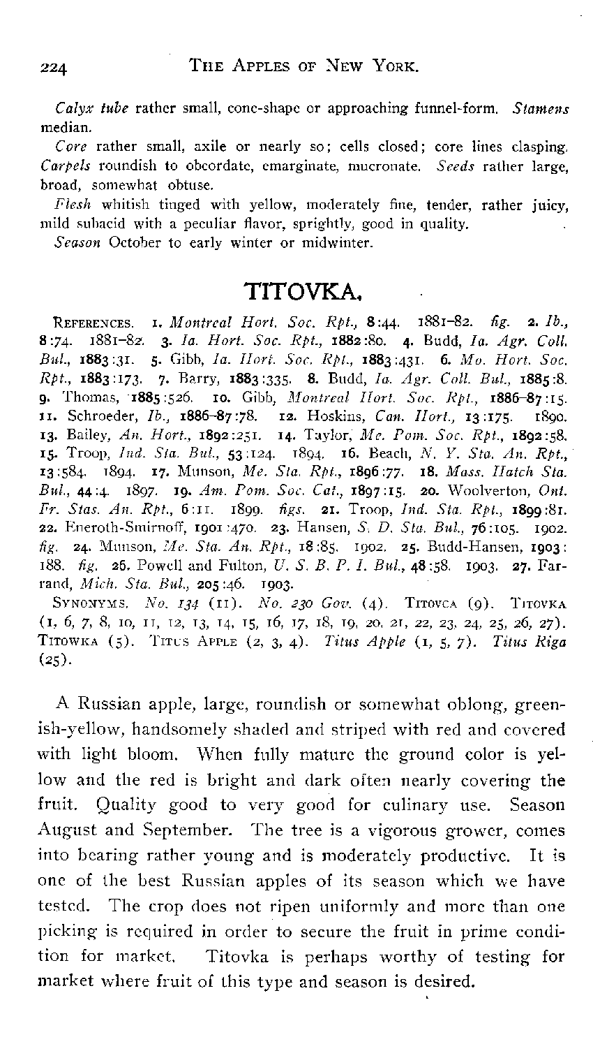 Apples of New-York - S.A. BEACH - 1905