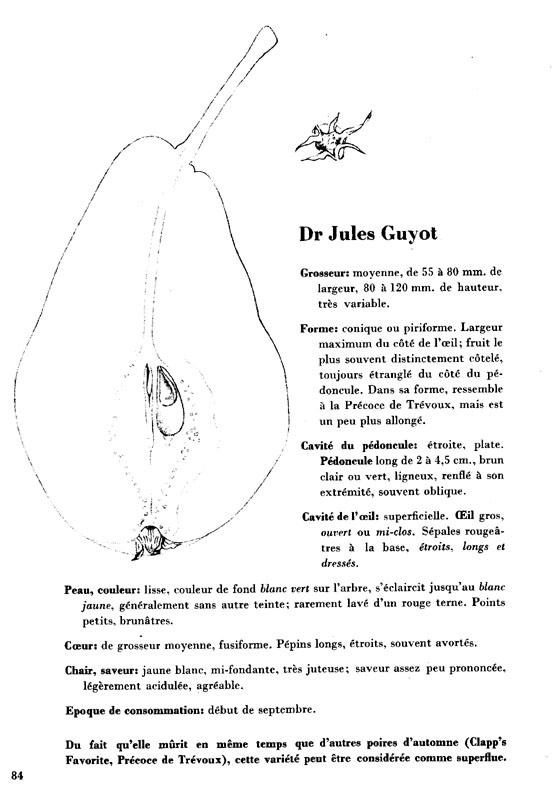 084docteurjulesguyot