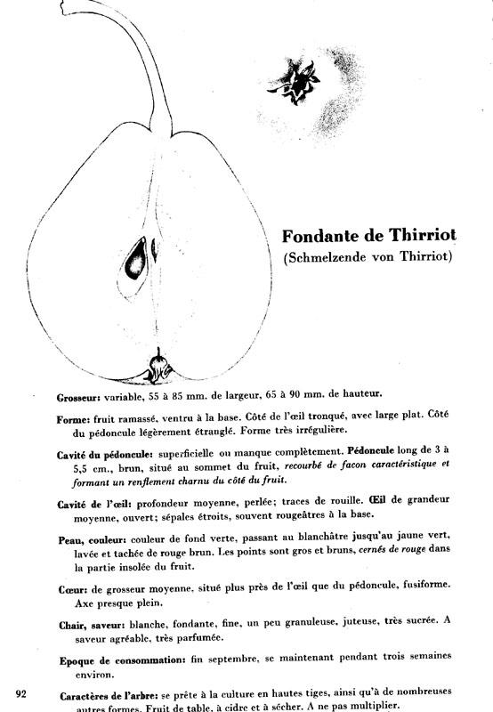 092fondantethiriot