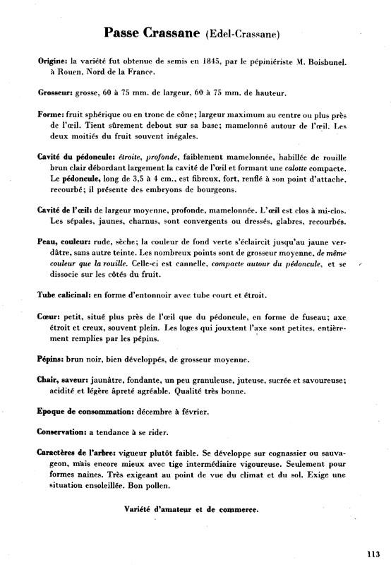 113passecrassanne