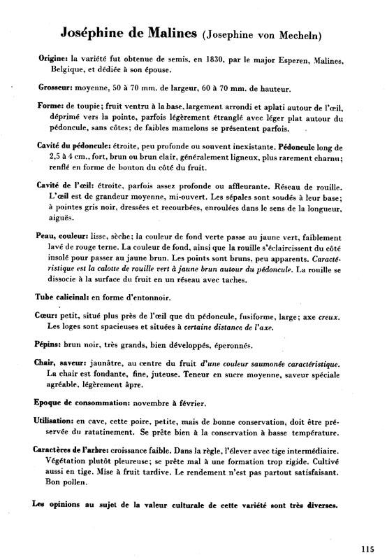 115josephinedemalines