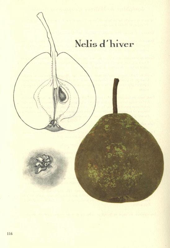 116nelisdhiver