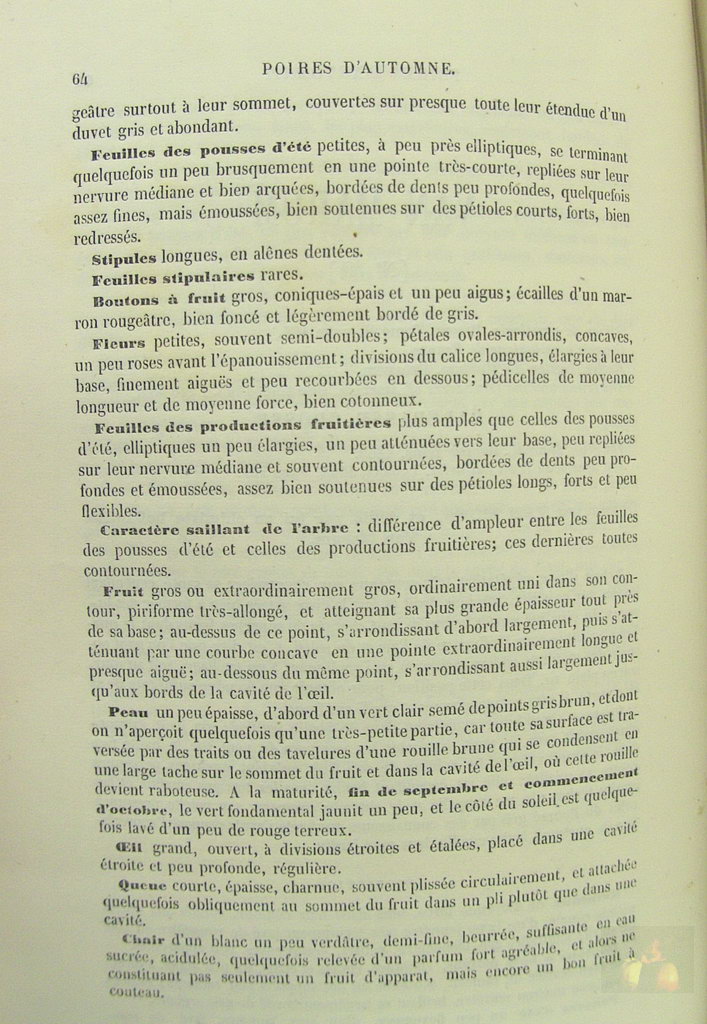Alphonse MAS - le verger - Tome 3a poires d'automne - 1867 - texte (suite)