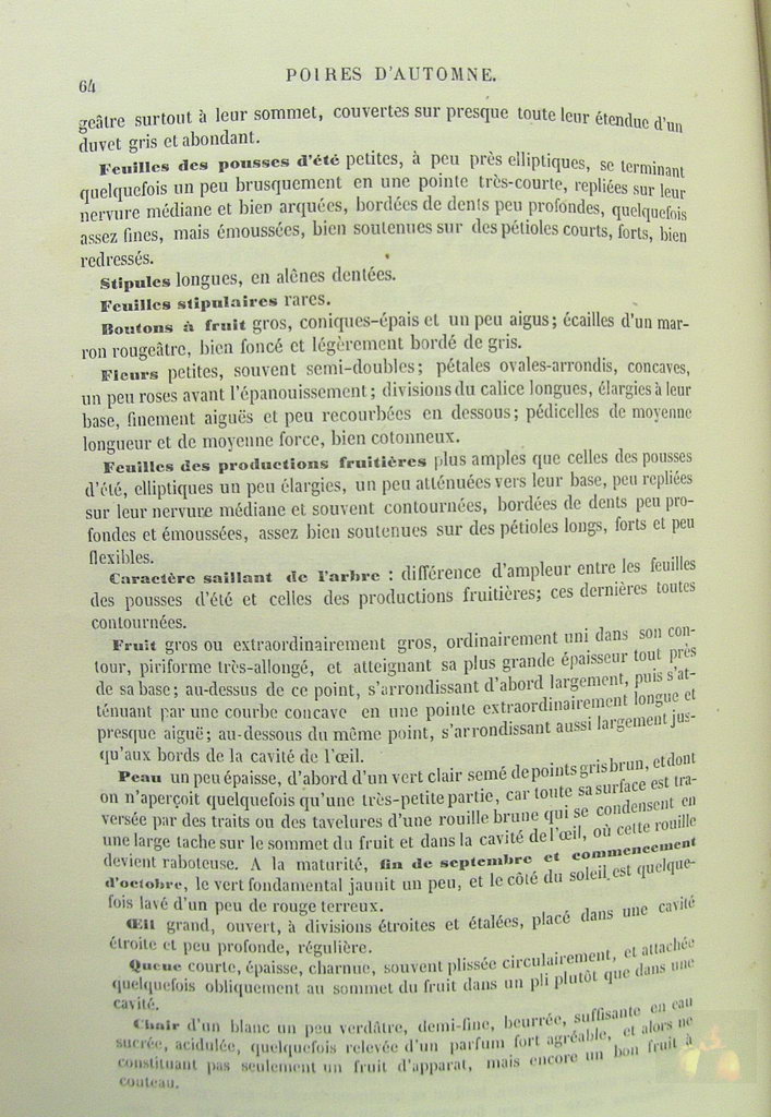 Alphonse MAS - le verger - Tome 3a poires d'automne - 1867 - texte (suite)