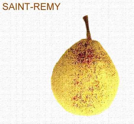 SAINT - RÉMY