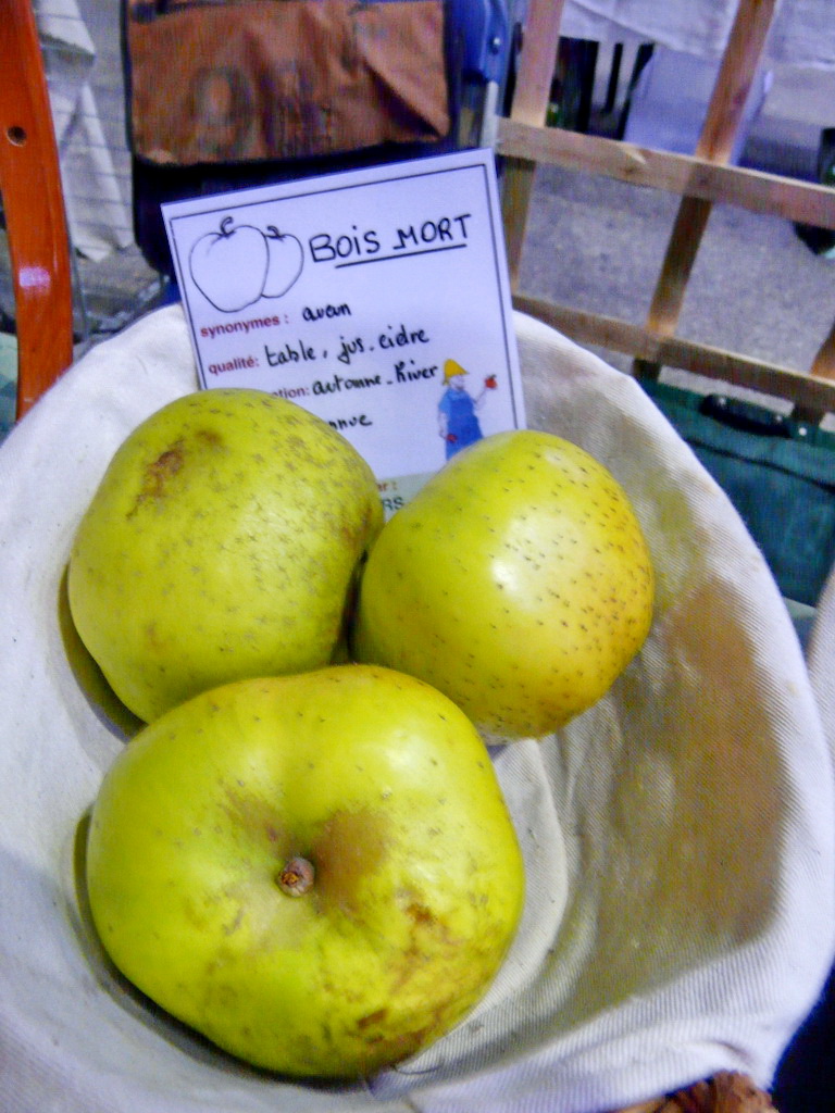 BOIS MORT- Exposé  le 17 novembre à Eurocroq’pom LIMOGES  2013  parr Les Croqueurs de Pommes du Loiret