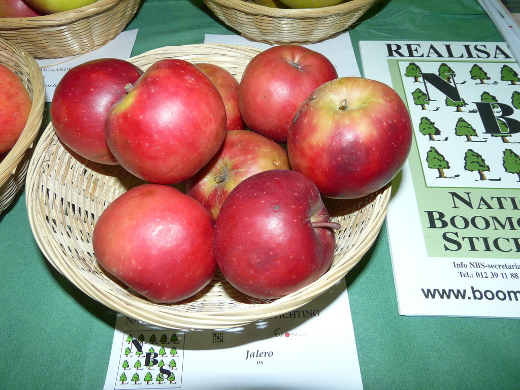 JALERO - Exposé  le 17 novembre à Eurocroq’pom LIMOGES  2013  par Nationale Boomgaarden Stichting 