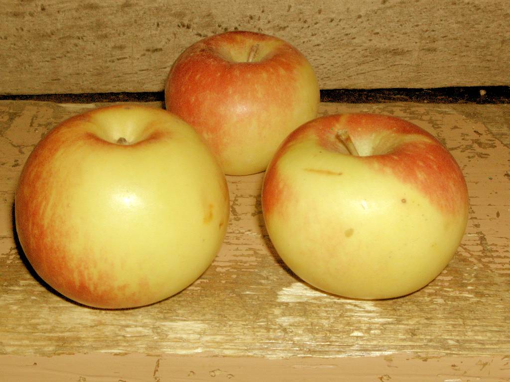 API en Novembre - In november