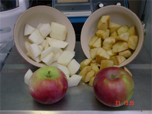 EDEN -  photo Plant Breeding, Physiology and statistics/Amelioration des plantes, physiologie et statistique à  St-Jean-sur-Richelieu, Quebec Canada