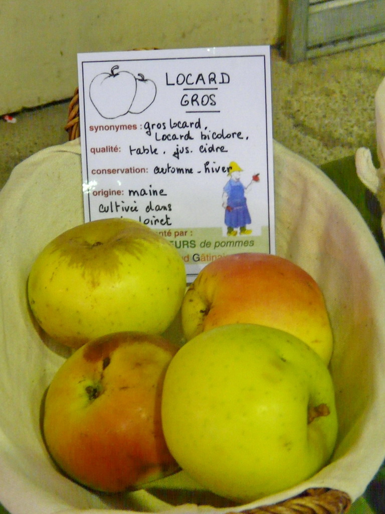GROS LOCARD - Exposé  le 17 novembre à Eurocroq’pom LIMOGES  2013  parr Les CROQUEURS DE POMMES DU LOIRET