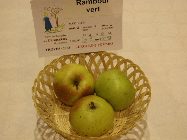 RAMBOUR VERT  Exposé  à Eurocroq’pom Troyes 2003