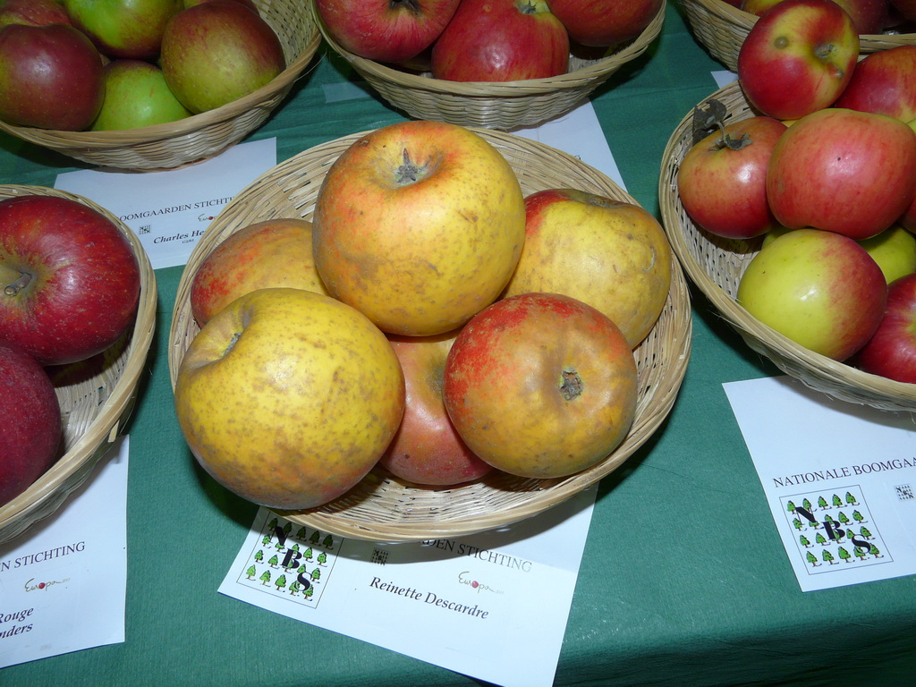 REINETTE DESCARDRE - Exposé  le 17 novembre à Eurocroq’pom LIMOGES  2013  parSTRIER APPEL - Exposé  le 17 novembre à Eurocroq’pom LIMOGES  2013  par Nationale Boomgaarden Stichting 