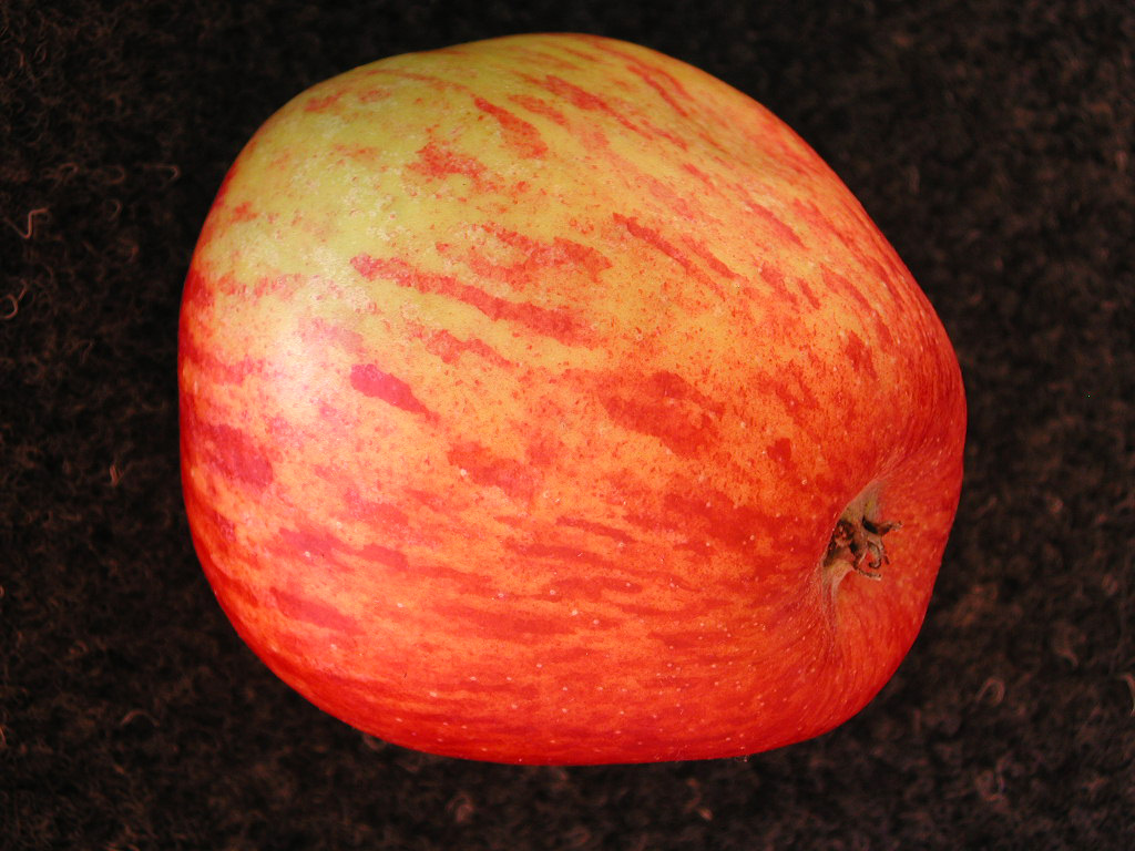 DE RISOUL - En Novembre / In November