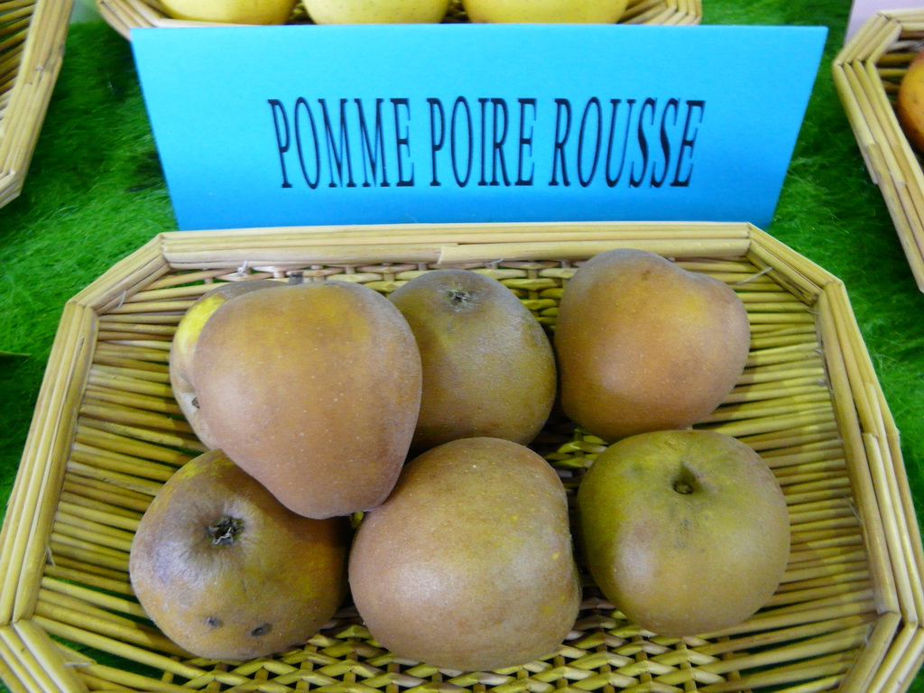 GUIDE DES POMMES GUIDE OF APPLES POMME POIRE ROUSSE